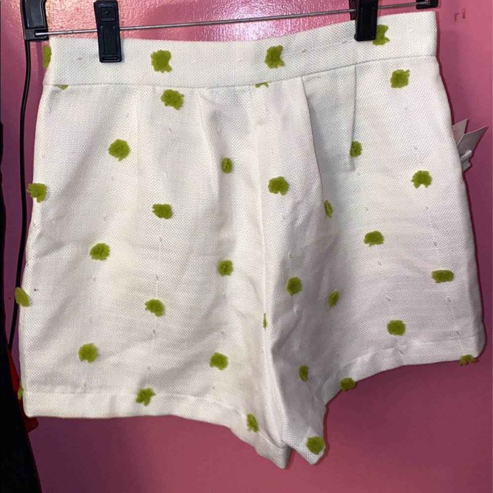 Kenley Collins High Waisted Shorts - Picture 2 of 3
